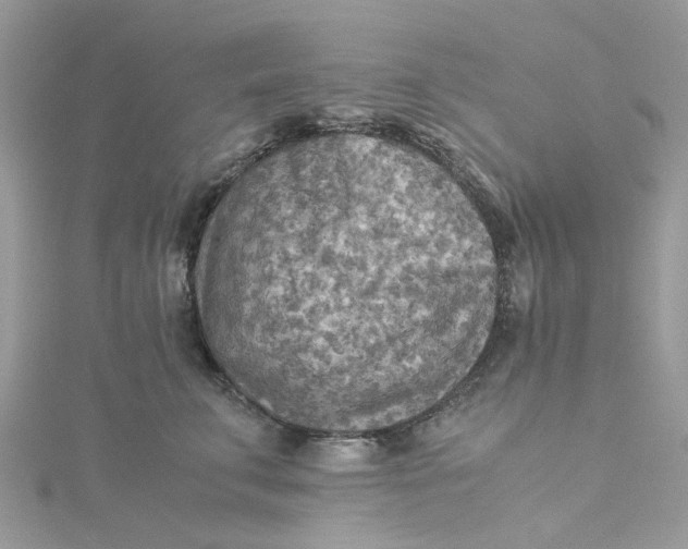 X0000115190711200911181448