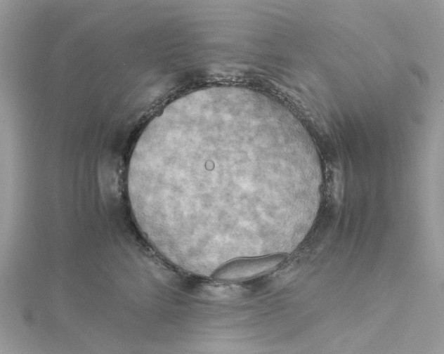 X0000115190712200911181448