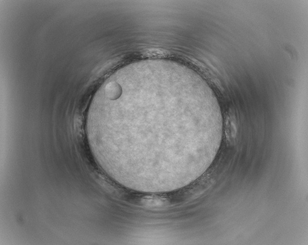 X0000115190714200911181448