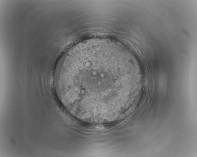 X0000115190715200911181448