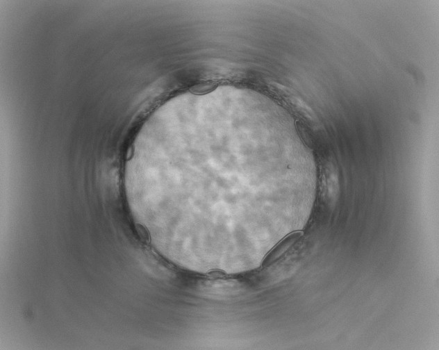 X0000115190716200911181448