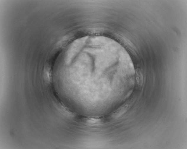 X0000115190718200911181448