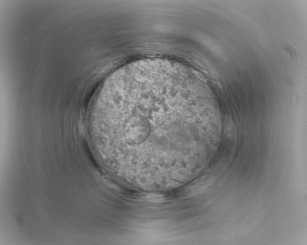 X0000115190719200911181448