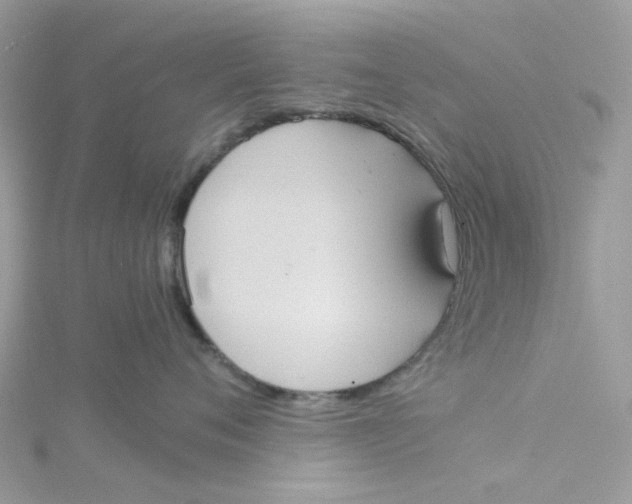 X0000115190720200911181448