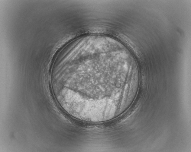 X0000115190721200911181447