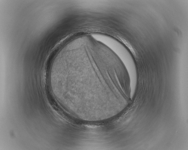 X0000115190722200911181447