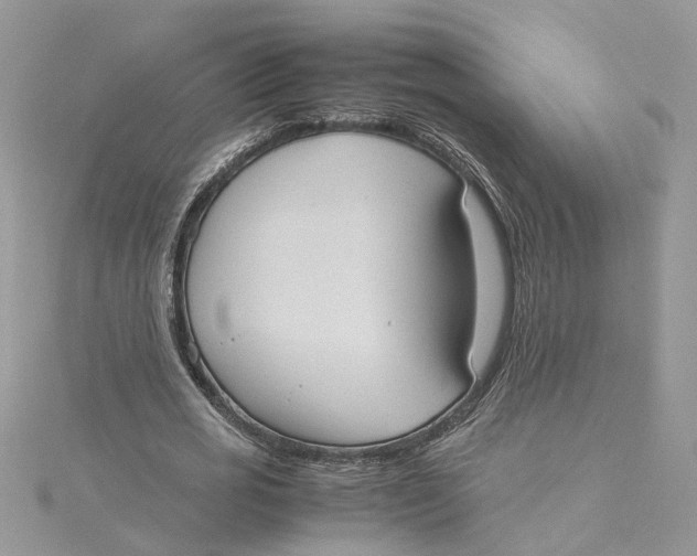 X0000115190725200911181447