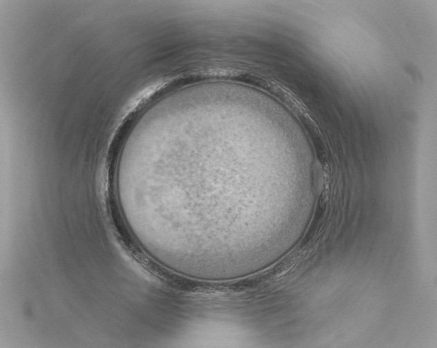 X0000115190726200911181447