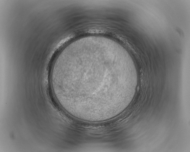 X0000115190727200911181447