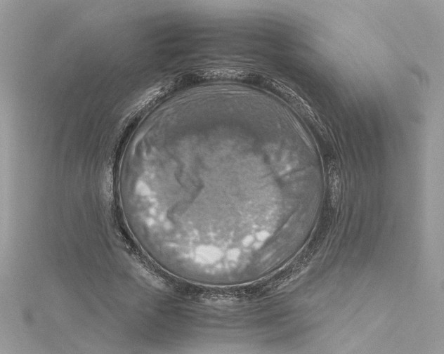 X0000115190729200911181447