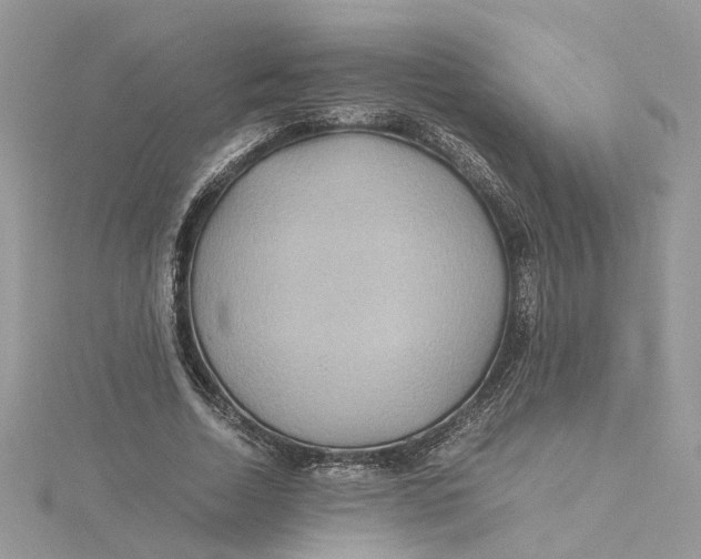 X0000115190730200911181447