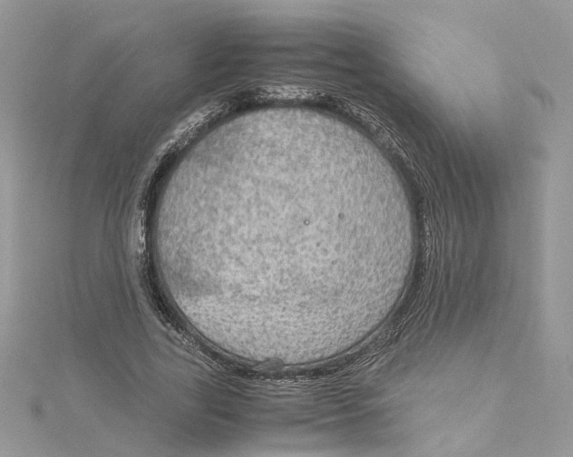 X0000115190731200911181447