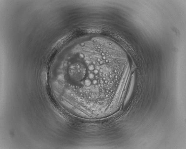 X0000115190733200911181447