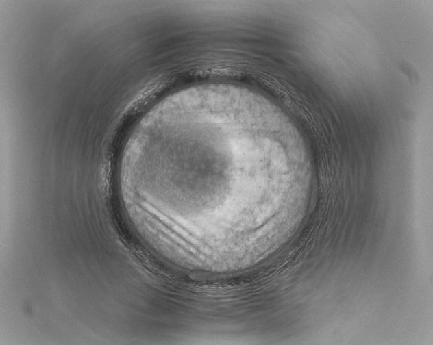 X0000115190735200911181447