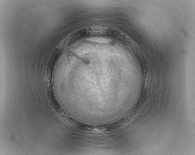 X0000115190737200911181447