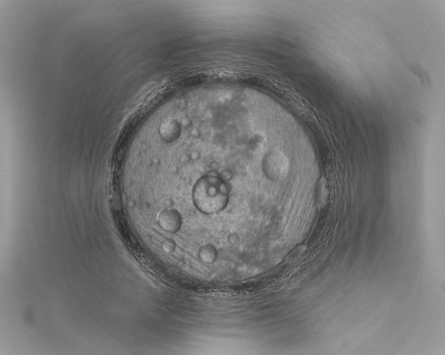 X0000115190738200911181447