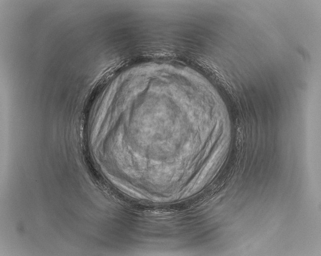 X0000115190739200911181447