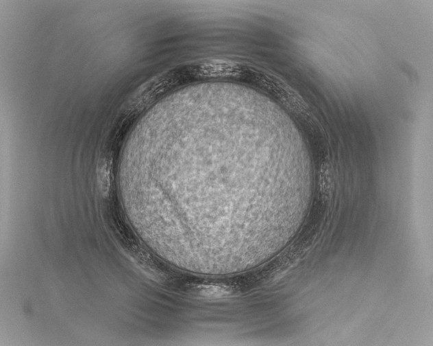 X0000115190741200911181447