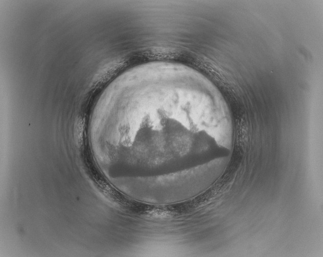 X0000115190742200911181447