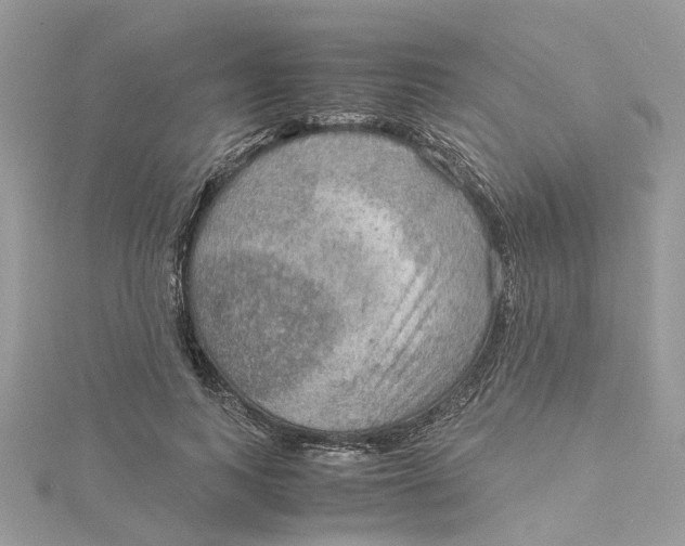 X0000115190743200911181447