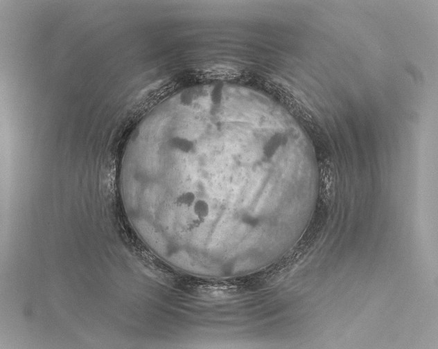 X0000115190745200911181447