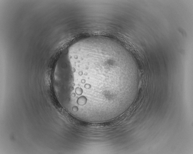 X0000115190746200911181447