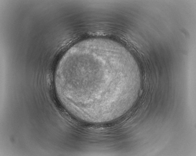 X0000115190747200911181448