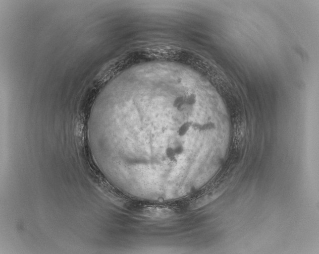 X0000115190749200911181448