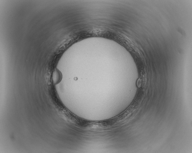 X0000115190750200911181448