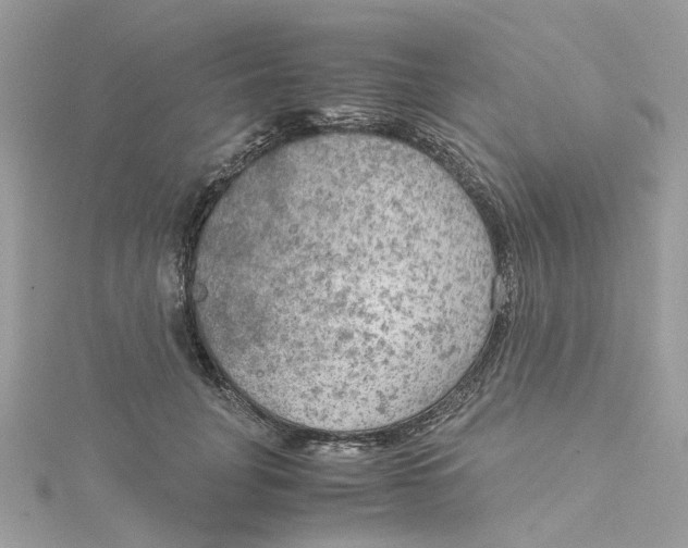 X0000115190751200911181448