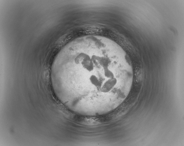 X0000115190753200911181448