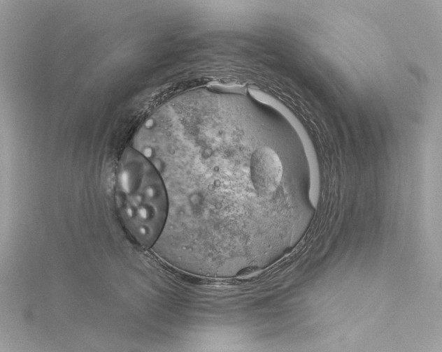 X0000115190754200911181448