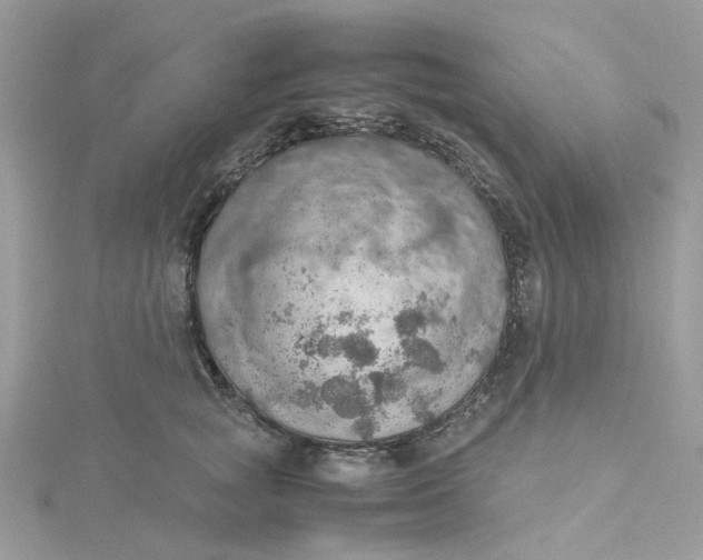 X0000115190757200911181448