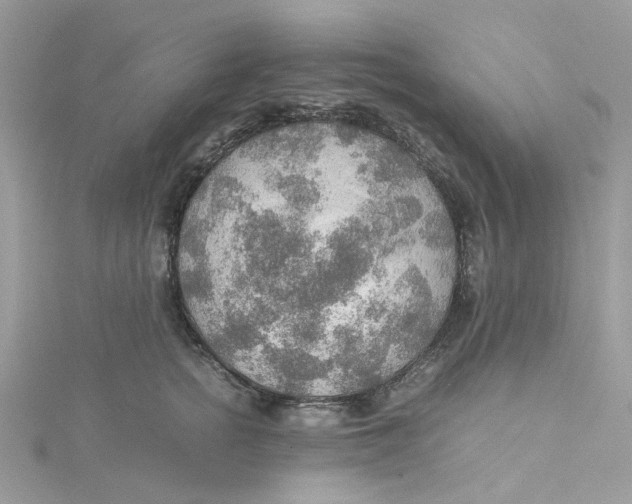 X0000115190758200911181448