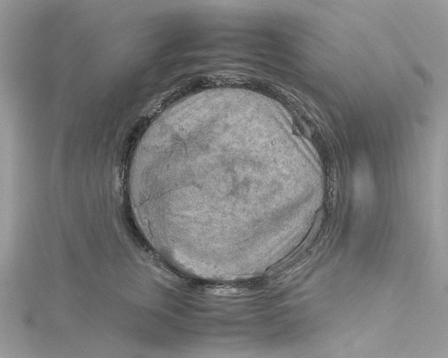 X0000115190759200911181448