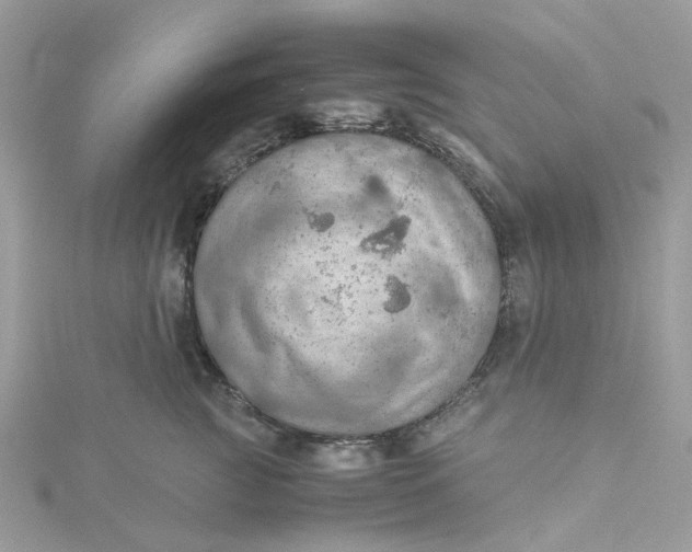 X0000115190761200911181448