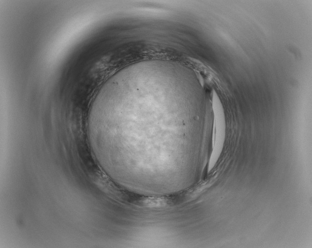 X0000115190762200911181448