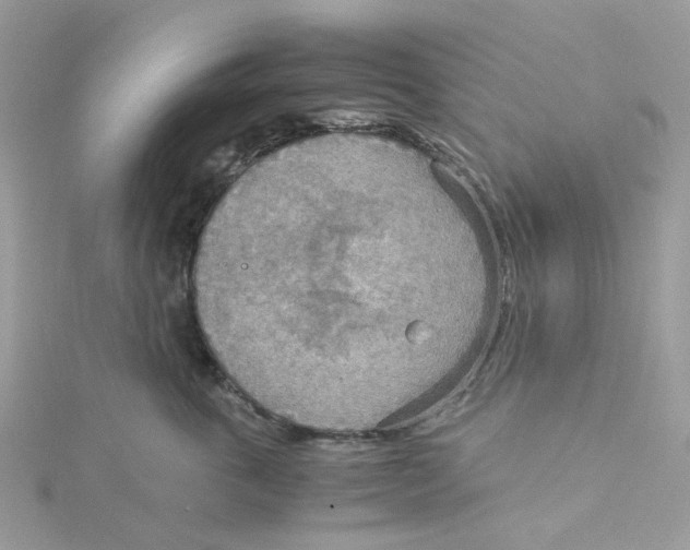 X0000115190763200911181448