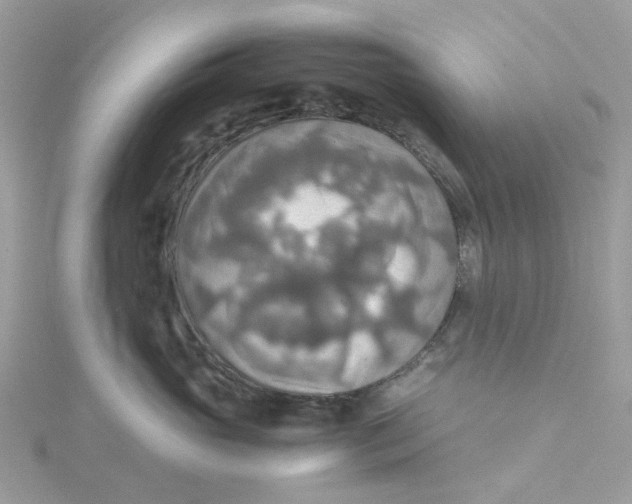 X0000115190765200911181448