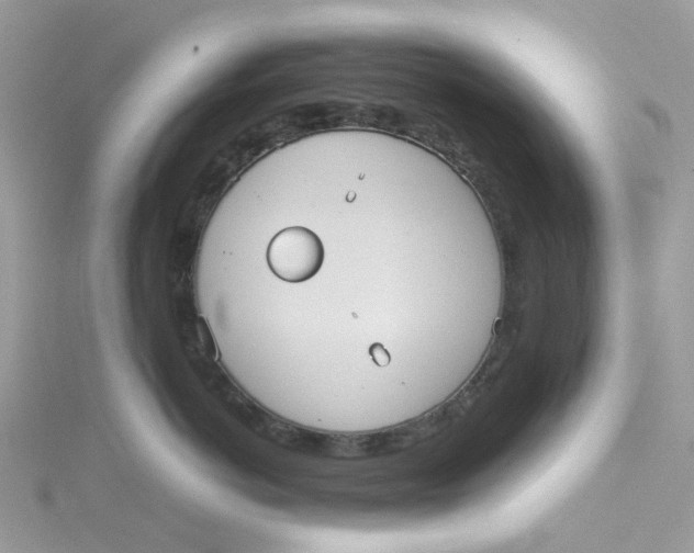 X0000115190766200911181448