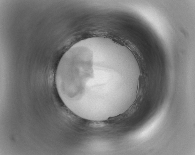 X0000115190767200911181448