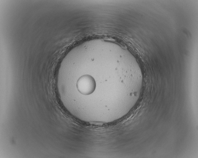 X0000115190769200911181447