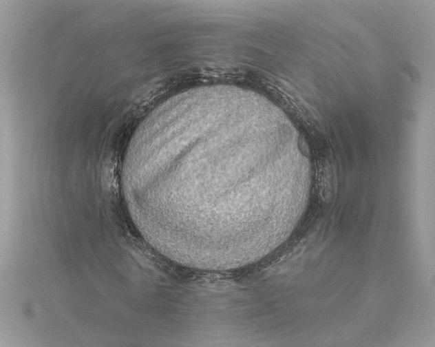 X0000115190770200911181447