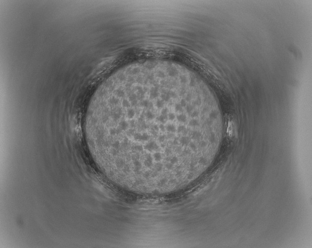 X0000115190771200911181447