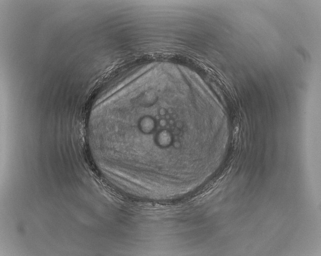 X0000115190772200911181447