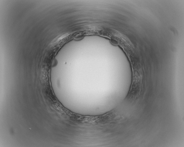 X0000115190773200911181447