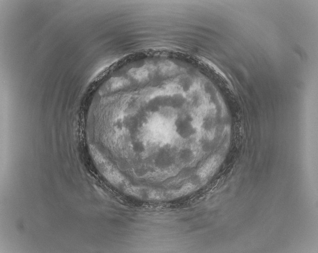 X0000115190775200911181447