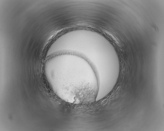 X0000115190776200911181447