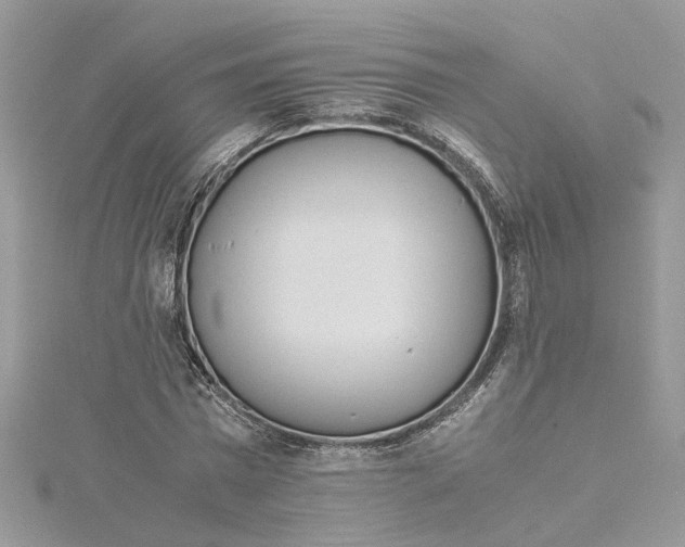 X0000115190777200911181447