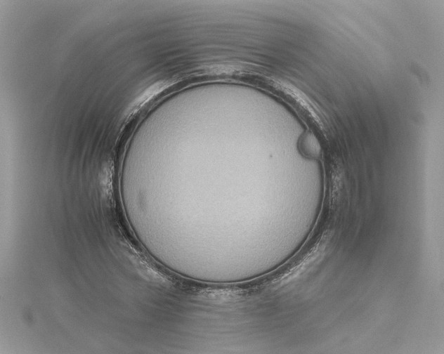 X0000115190778200911181447